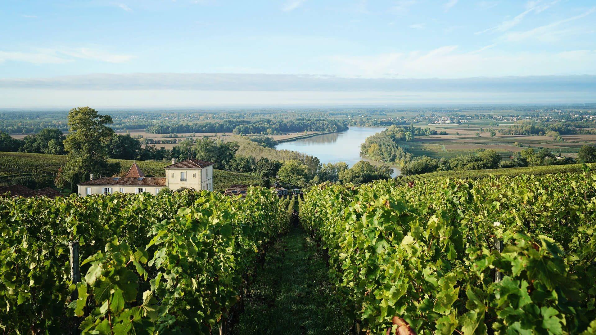 Vignobles Arbo