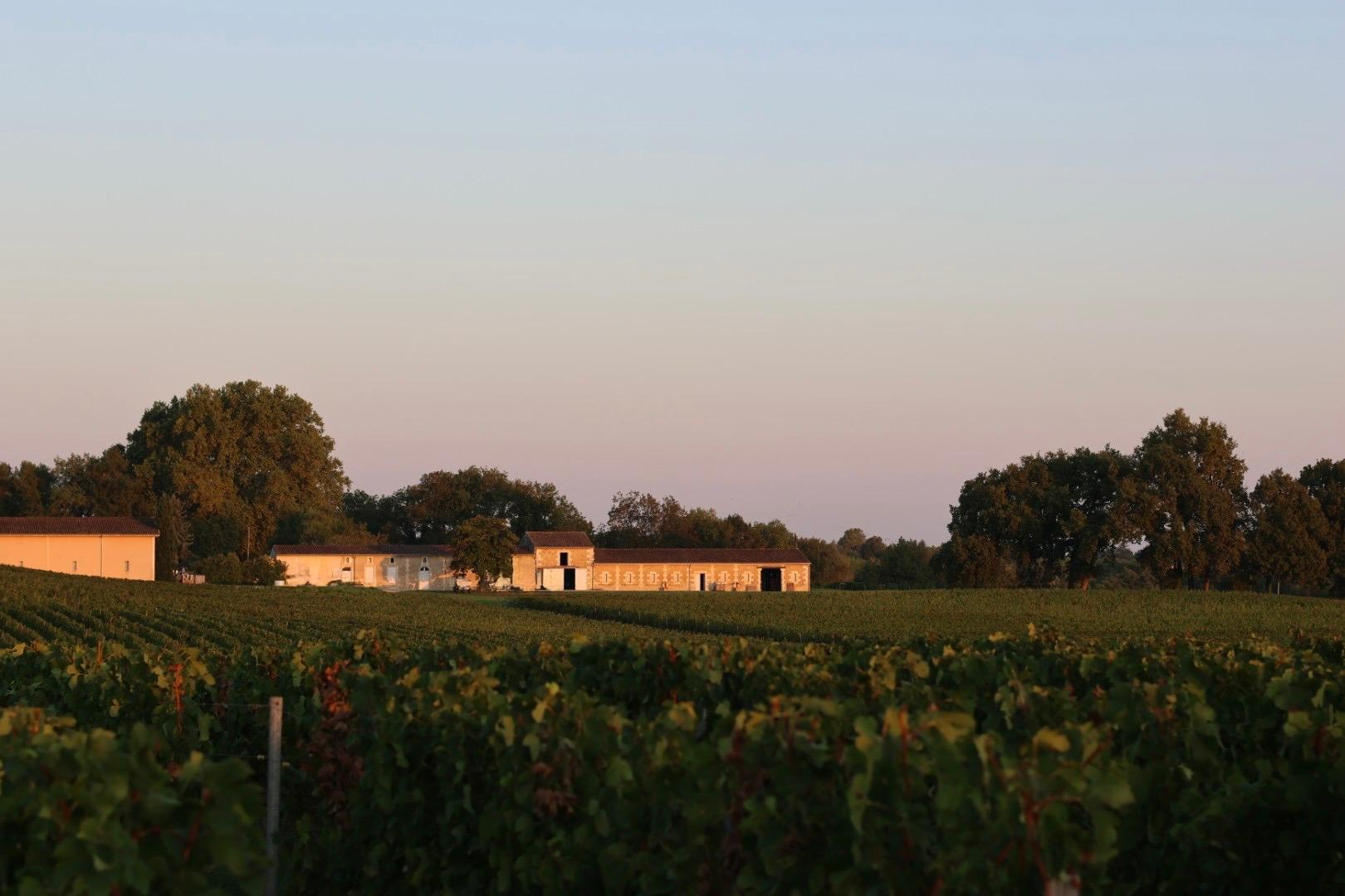 Vignobles Hermouet