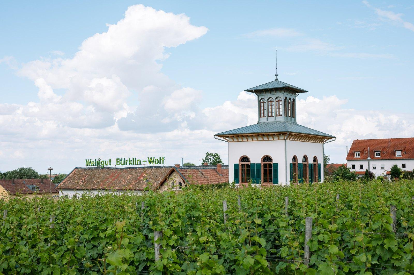 The Bürklin-Wolf estate above its vineyards